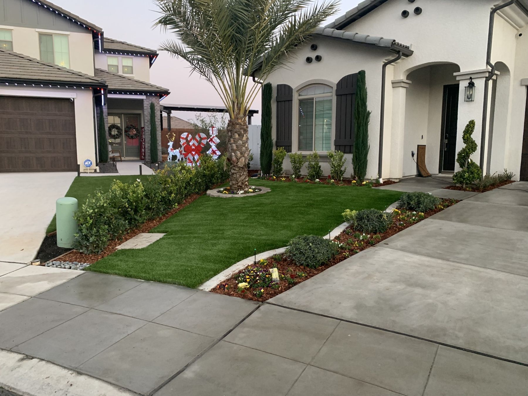 Front yard at dusk with turf, planting beds and shaped hedging
