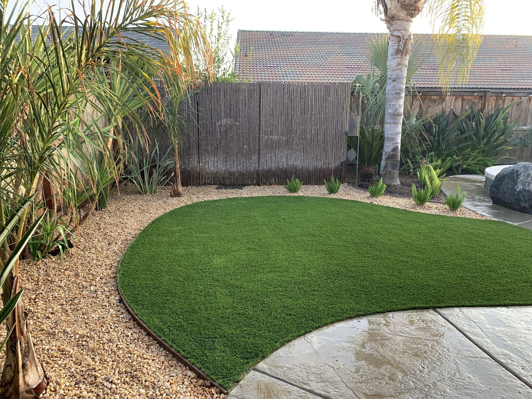 Curved turf lawn edged with gravel and layered tropical planting